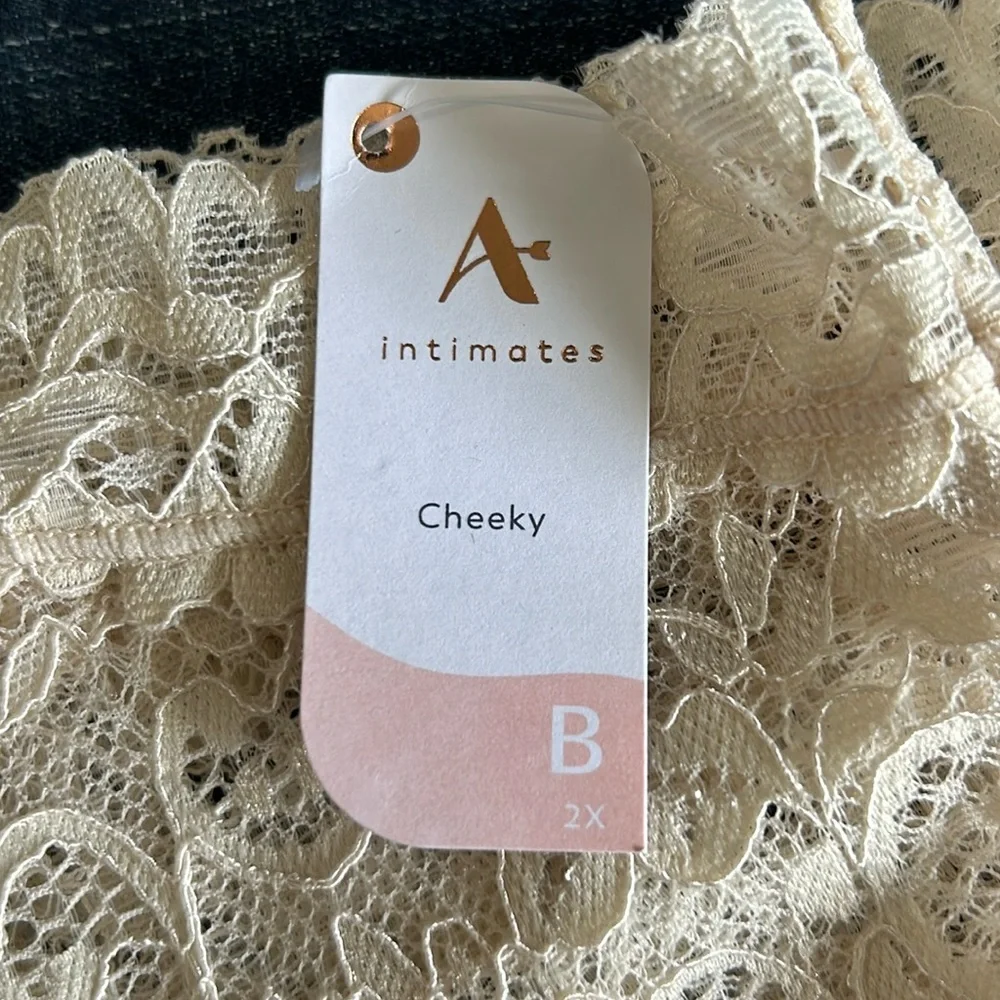NWT Arula stretch lace cheeky panty, Arula size B, 2X
